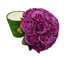 Light Orchid Purple