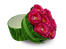 Fushia