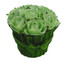 Mix Green
