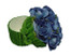 Salvia Blue