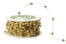 FY30 Gold