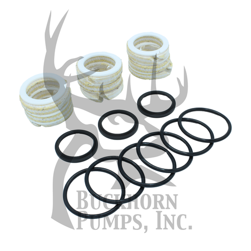 SKU - P509939 PACKING KIT FOR FMC BEAN M0610SC - Buckhorn Pumps, Inc