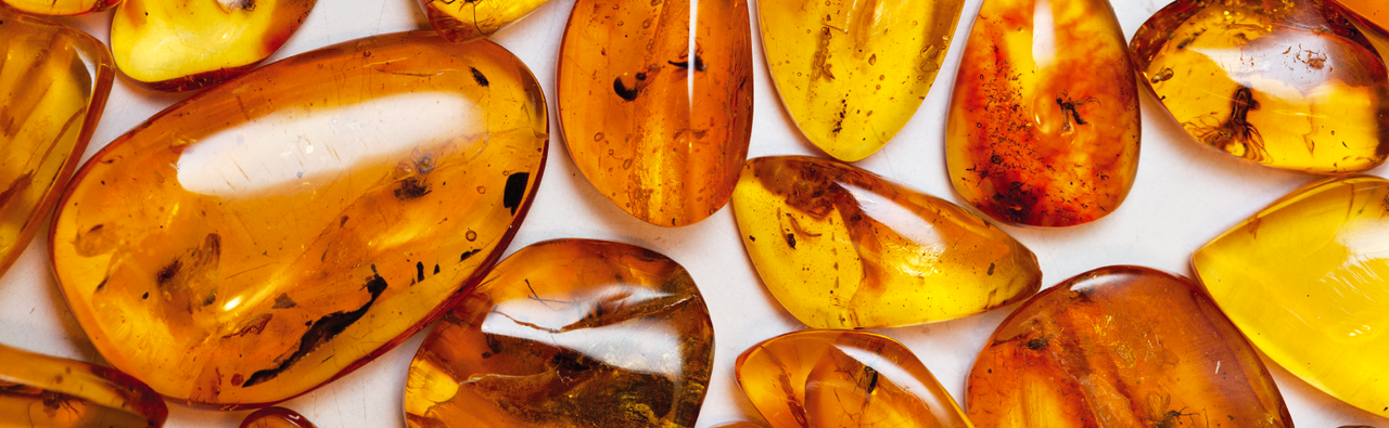 Amber Necklaces / Anklets