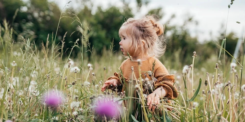 About Bambo Nature Nappies
