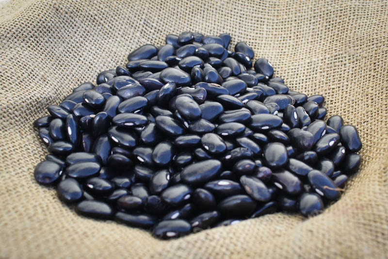 Ayocote Negro Beans Rancho Gordo Con' Olio Oils Vinegars