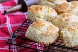 Olive Oil Biscuits