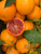 Blood Orange Olive Oil