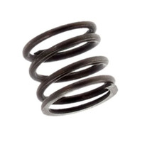28441-ZE1-003 - Spring Friction - Honda Original Part