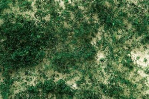 Bachmann SceneScapes 32608 Foliage - Dark Green Bachmann SceneScapes 32608 Foliage - Dark Green