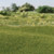 Woodland Scenics FS613 Static Grass, Dark Green (2mm)