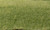 Woodland Scenics FS614 Static Grass, Medium Green (2mm)
