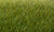 Woodland Scenics FS621 Static Grass, Dark Green (7mm) Woodland Scenics FS621 Static Grass, Dark Green (7mm)