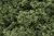 Woodland Scenics FC57 Foliage Clusters, Light Green Woodland Scenics FC57 Foliage Clusters, Light Green