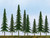 JTT 92027 Spruce Trees, 4" - 6" tall (24) JTT 92027 Spruce Trees, 4" - 6" tall (24)