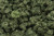 Woodland Scenics FC144 Bushes, Olive Green