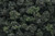 Woodland Scenics FC149 Bushes, Forest Blend Woodland Scenics FC149 Bushes, Forest Blend