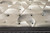 Spring Air Dura-Last Spartan Firm Twin Mattress