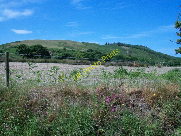 Photo 6"x4" A mown hayfield with Moel Caerau in the background Garnfadryn c2010