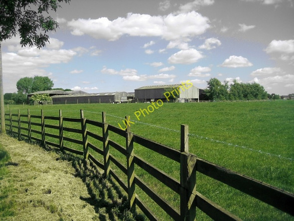 Photo 6"x4" Rose Farm, Foxholes Normanton\/SE3822 c2010