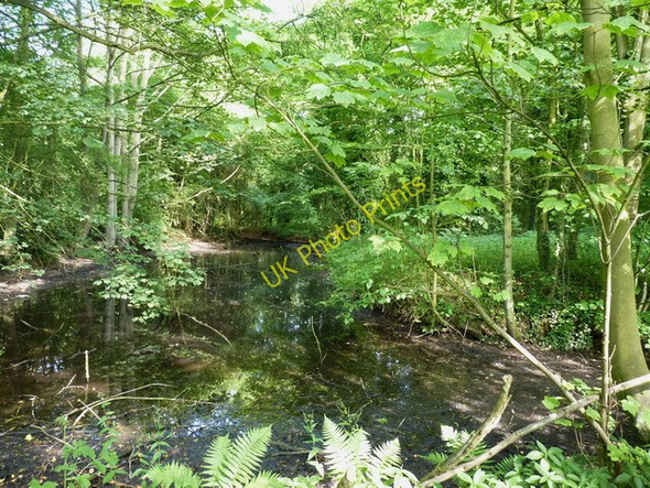 Photo 6"x4" Moat in the grounds of Weston Park Weston Under Lizard c2010