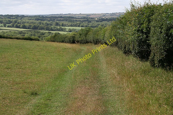 Photo 6"x4" Spreyton: footpath to Combe Heath Cross\/SX7097 c2006