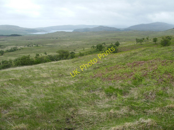Photo 6"x4" View SW across a few trees towards Loch Spelve Lochdon c2010