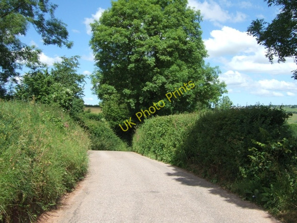 Photo 6"x4" Road to Leys Cross Cheriton Fitzpaine c2010