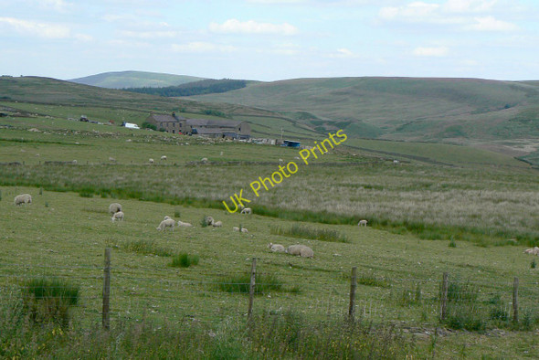 Photo 6"x4" Sutton End Wincle c2010