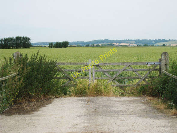 Photo 6"x4" Gates to Wheat Field Dymchurch c2010