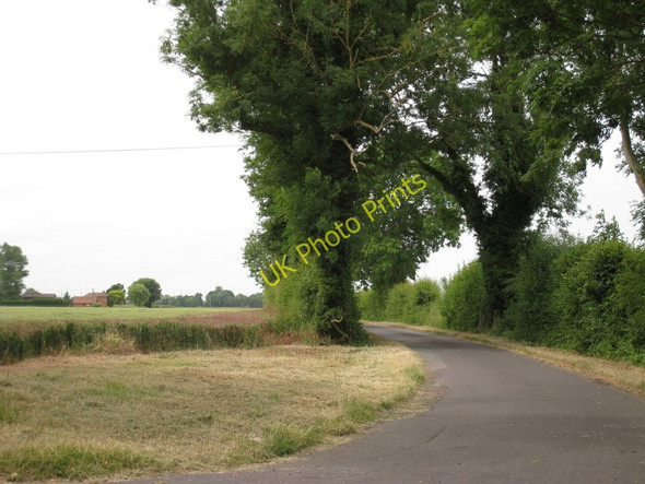Photo 6"x4" Moor Lane Brenzett Green c2010