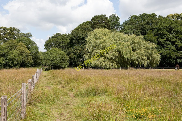 Photo 6"x4" Footpath past Emer Farm Crampmoor c2010