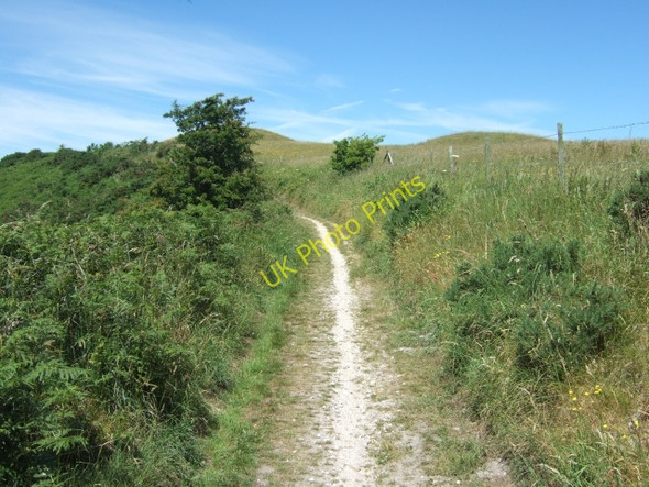 Photo 6"x4" Path near Hardy Monument Coryates c2010