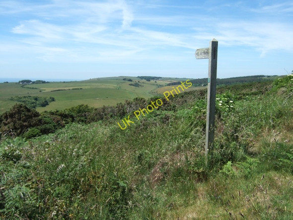 Photo 6"x4" Signpost on Bronkham Hill Coryates c2010