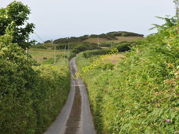 Photo 6"x4" Warcombe Lane Higher Warcombe c2010