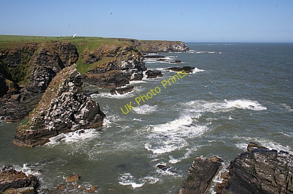 Photo 6"x4" Green Craig and The Veshels Whinnyfold c2010