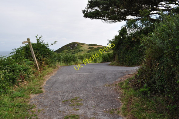 Photo 6"x4" The footpath from Damage Barton meeting Warcombe Lane Higher Warcombe c2010