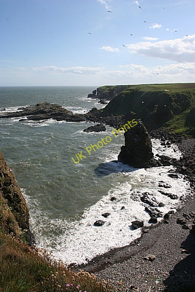 Photo 6"x4" Bay of Harrol Whinnyfold c2010