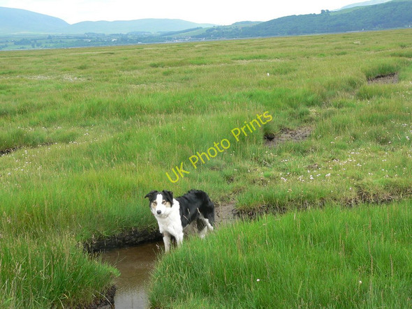 Photo 6"x4" Mudflats on Cree estuary by Wigtown Wigtown c2010