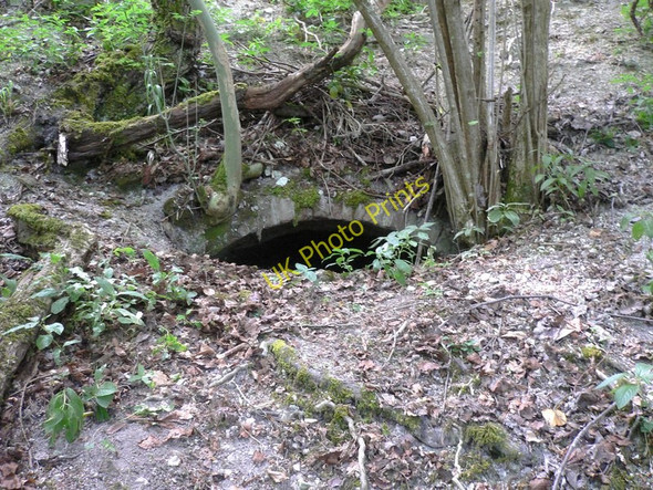 Photo 6"x4" Lime kiln near Bepton Cocking c2010