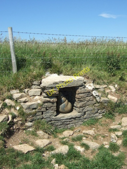 Photo 6"x4" Shell by Peter Randall-Page Chaldon Herring or East Chaldon c2010
