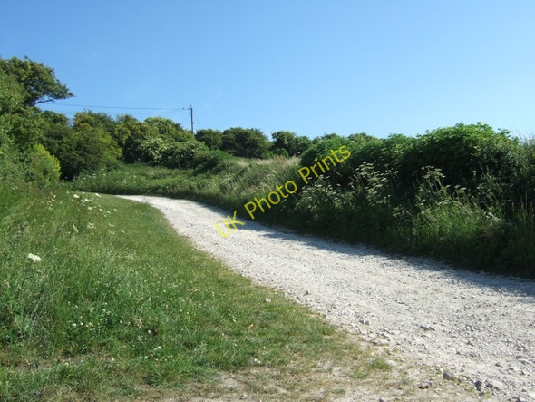 Photo 6"x4" Footpath from East Chaldon to Daggers Gate Chaldon Herring or East Chaldon c2010
