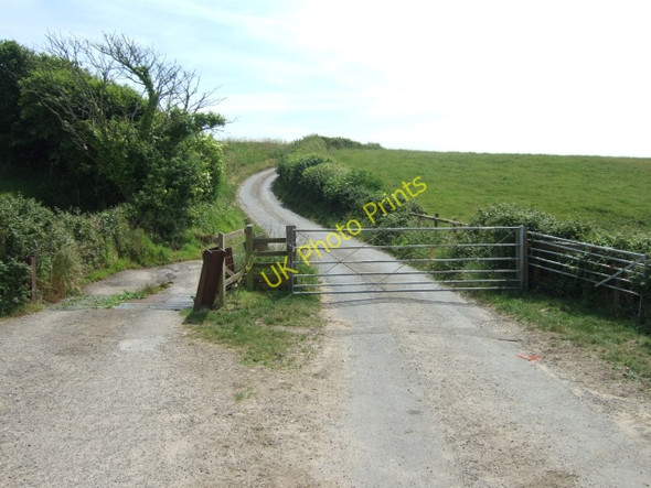 Photo 6"x4" Chilcombe Lane cattle grid Chilcombe\/SY5291 c2010