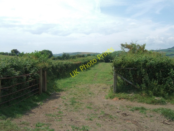 Photo 6"x4" Field gate by Chilcombe Lane Chilcombe\/SY5291 c2010