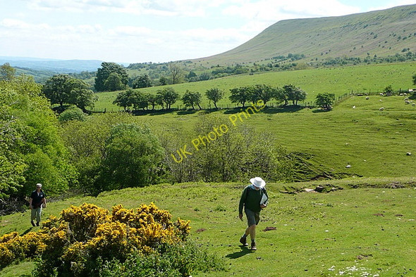 Photo 6"x4" In the Monnow valley Craswall\/SO2835 c2010