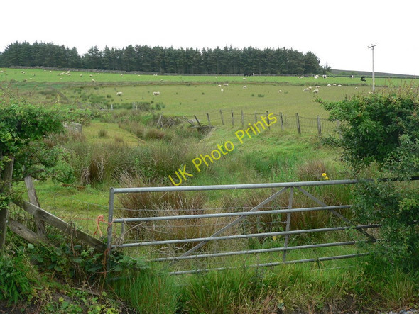 Photo 6"x4" Precarious gate Tayinloan c2010