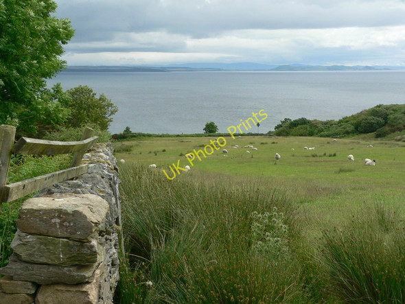Photo 6"x4" Coastal grazing near Skipness Skipness c2010