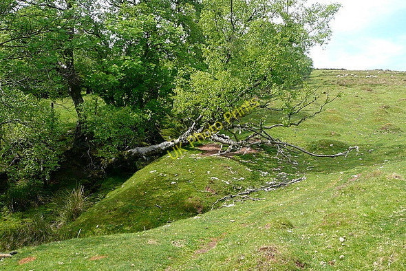 Photo 6"x4" On Cefn Hill access land Craswall\/SO2835 c2010