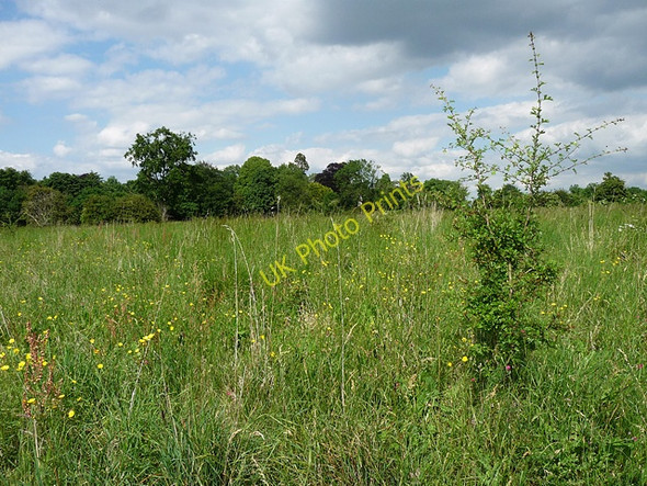 Photo 6"x4" Fields near Downe (2) Downe\/TQ4361 c2010