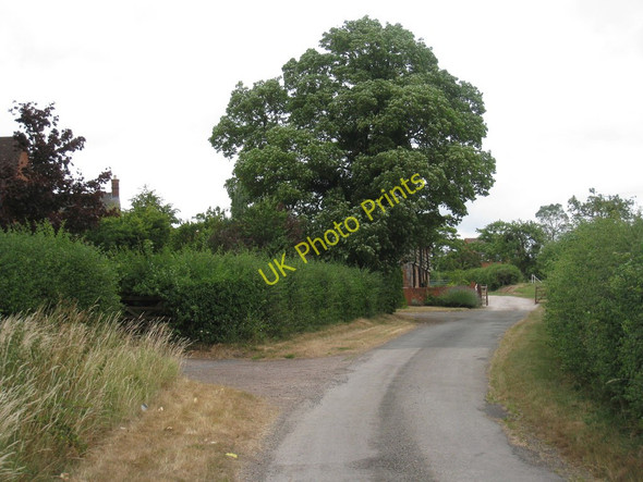 Photo 6"x4" Lane at Linkend Linkend c2010