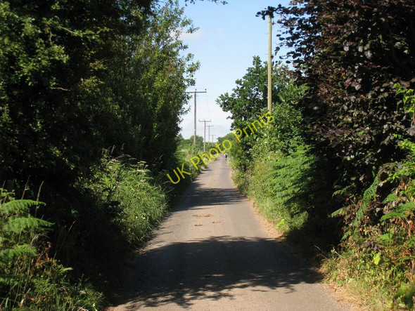 Photo 6"x4" Green Lane Hemsted c2010